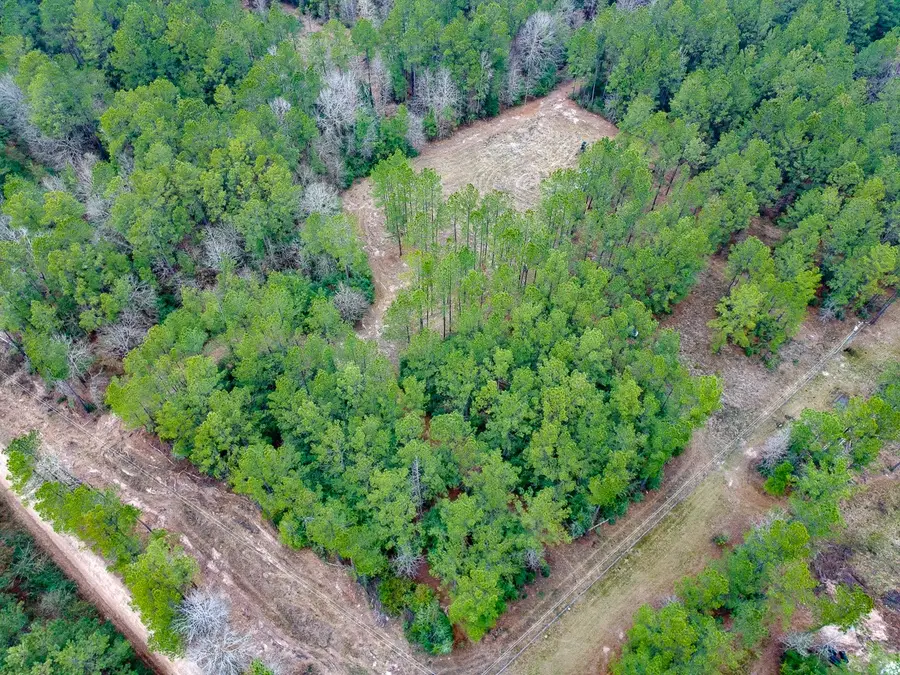 209 Joskey Dykes Road, Zavalla, TX 75980 - #2