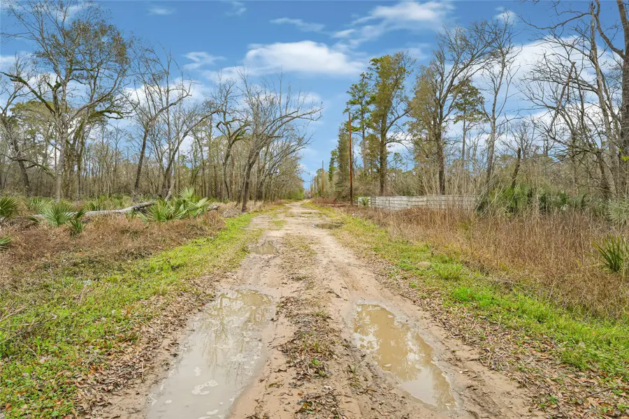 12202 Indian Oaks Ln, Houston, TX 77044 - #2