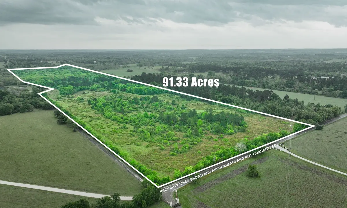 TBD Cr 204, Plantersville, TX 77363 - #1