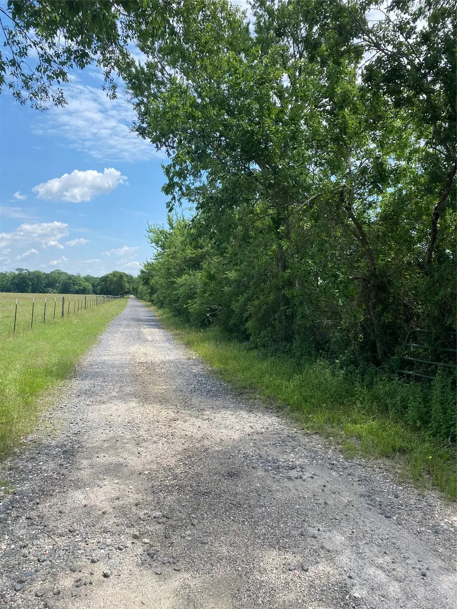 TBD Cr 204, Plantersville, TX 77363 - #3