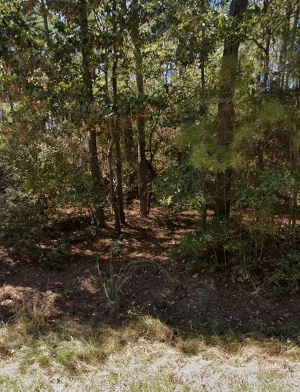 110 Pine Point Circle, Onalaska, TX 77360