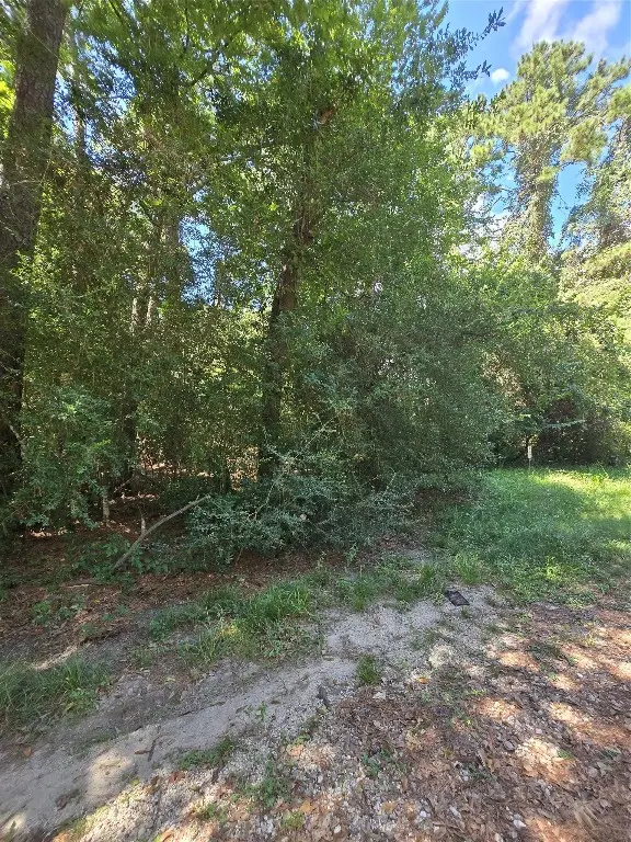 0 Bourgeois Forest Drive, Houston, TX 77066 - #1