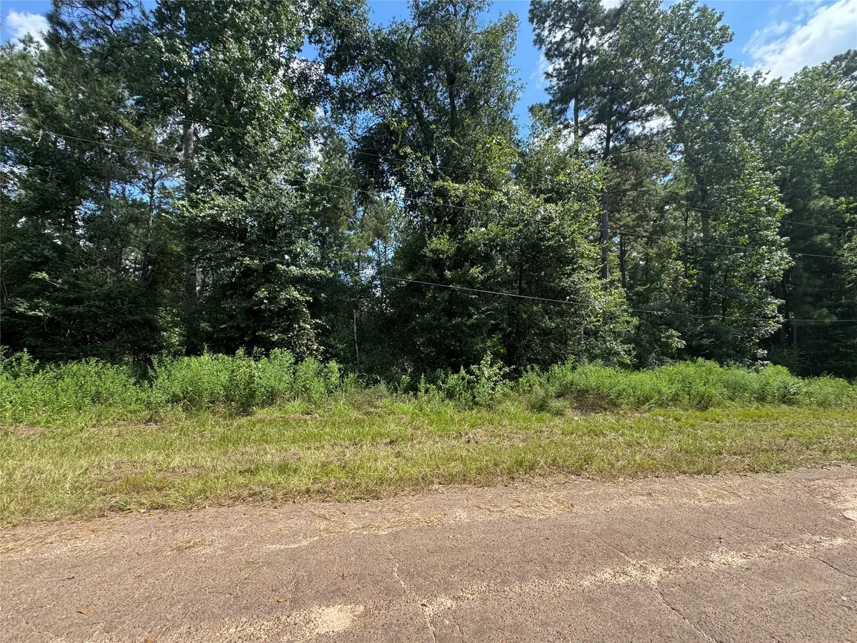 0 Mcrae Circle, Conroe, TX 77303 - Image #1