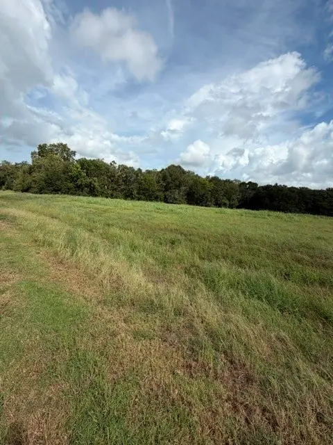 1032 Chuckwagon Trail, Angleton, TX 77515 - #3