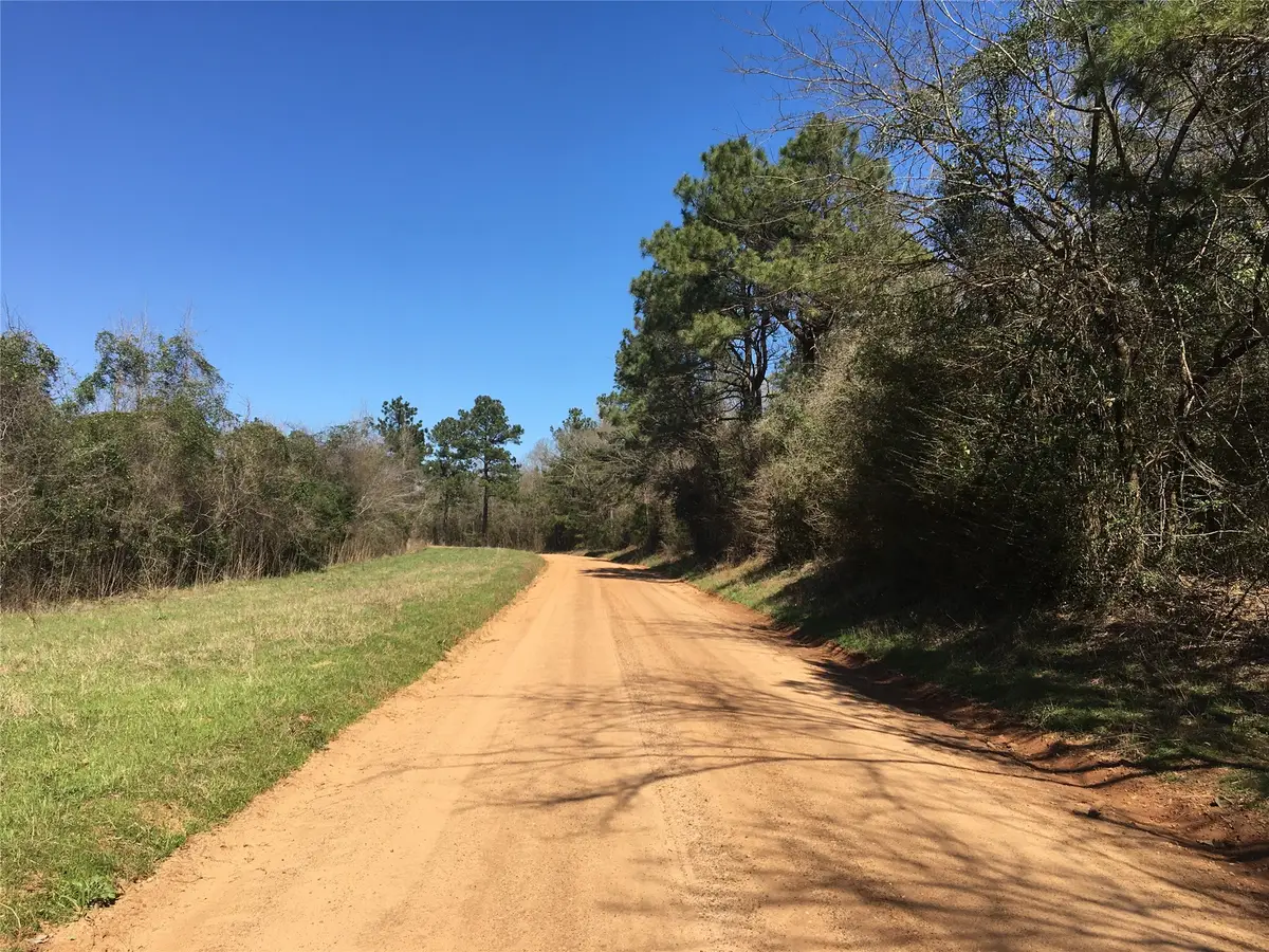 Lot11 County Road 175, Garrison, TX 75946 - #1