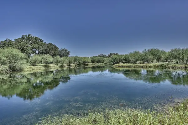 6823 Fawn Oaks Ridge, Iola, TX 77861