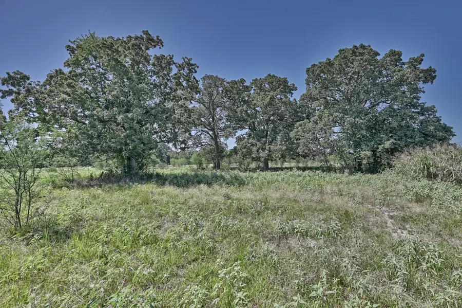 6823 Fawn Oaks Ridge, Iola, TX 77861 - #3