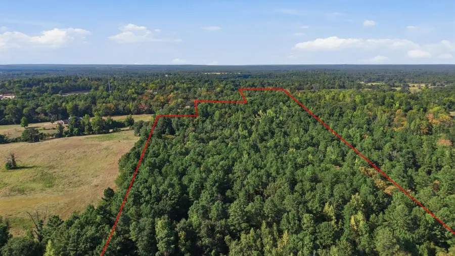 0 An County Road 359, Palestine, TX 75801 - #3