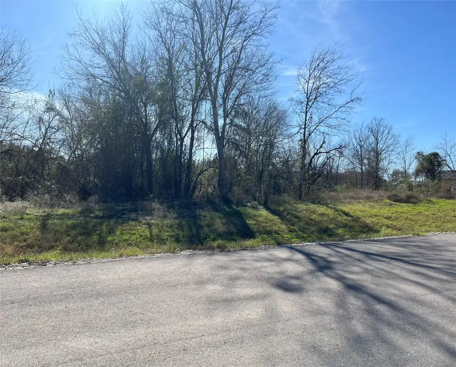 TBD Winding Br Lane, Chappell Hill, TX 77426 - #3