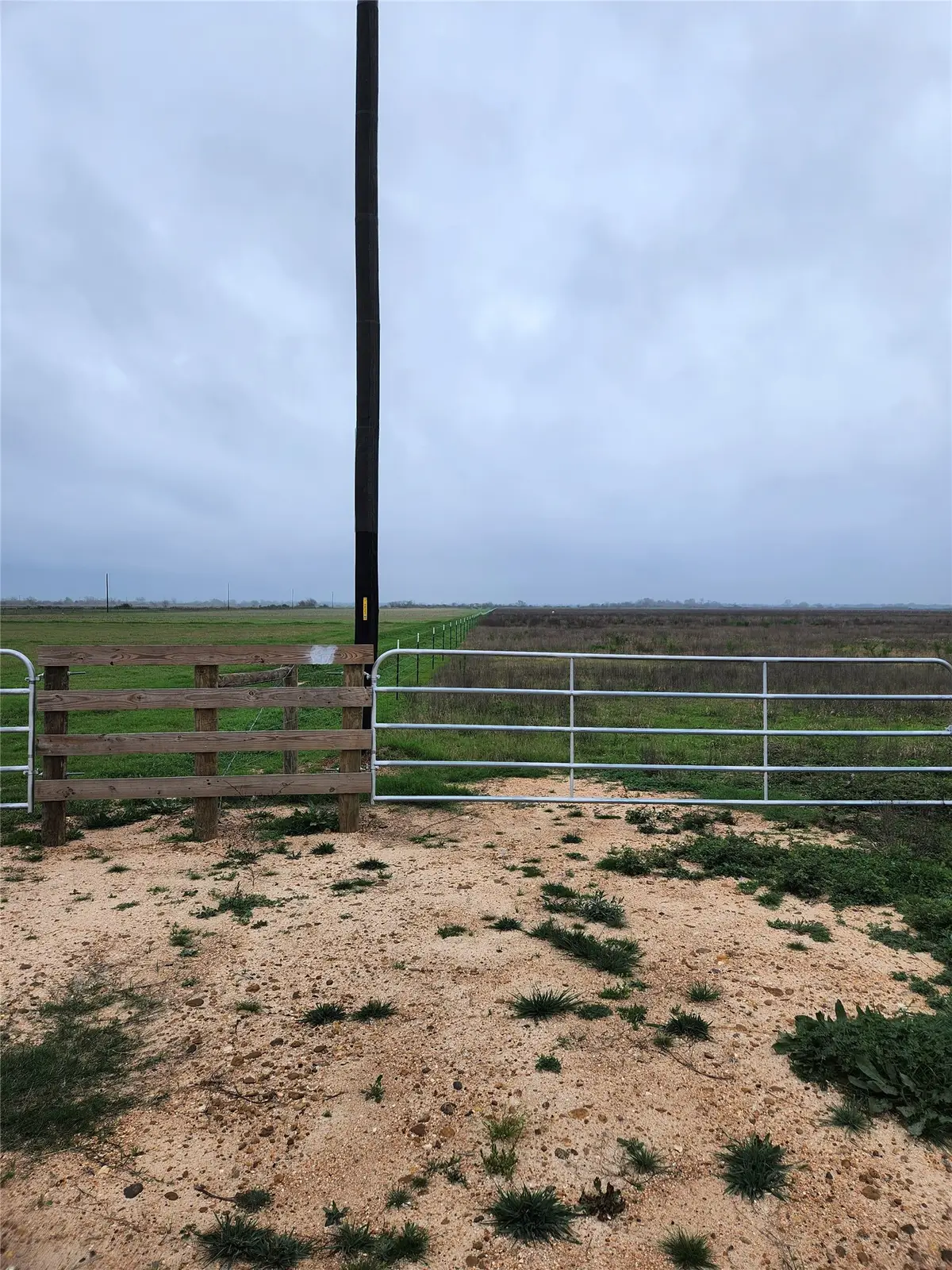 TBD Fm 2761, Cat Spring, TX 78933 - #1