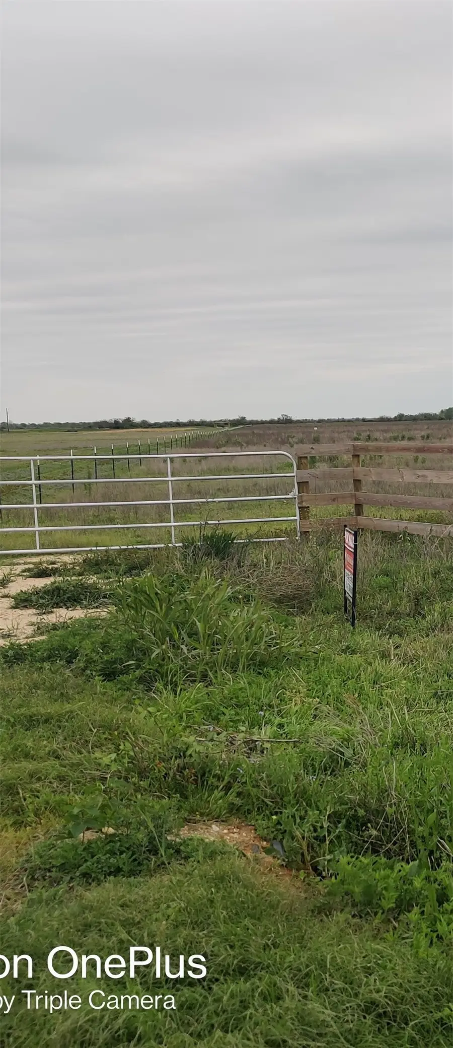 TBD Fm 2761, Cat Spring, TX 78933 - #2