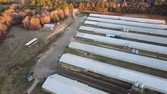 296 County Road 1548, Center, TX 75935 - #3