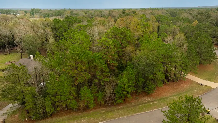 221 Skipper Jack, Montgomery, TX 77316 - Image #2