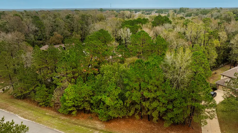 221 Skipper Jack, Montgomery, TX 77316 - Image #3