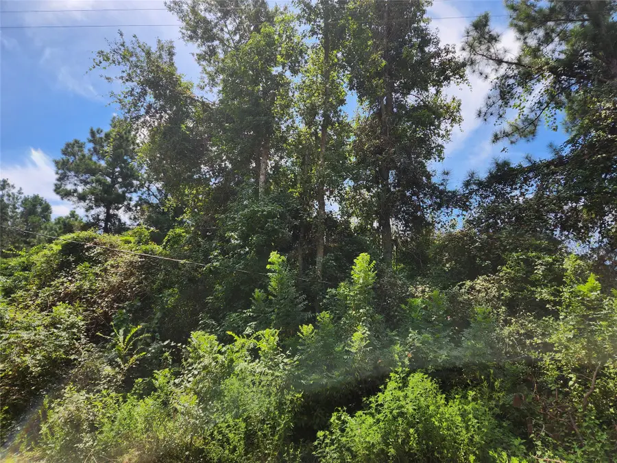 Lot 27 Mayhaw Lane, Plantersville, TX 77363 - #2