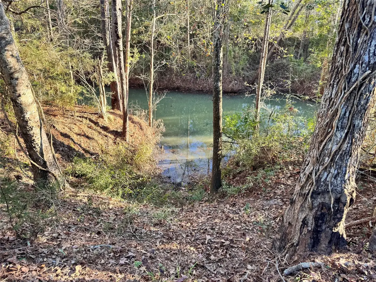 Lot98 Barbil Lane, Huffman, TX 77336 - #1