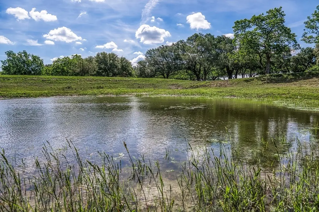 Tract 1 - Asa Hoxie Road E, Brenham, TX 77833 - #1