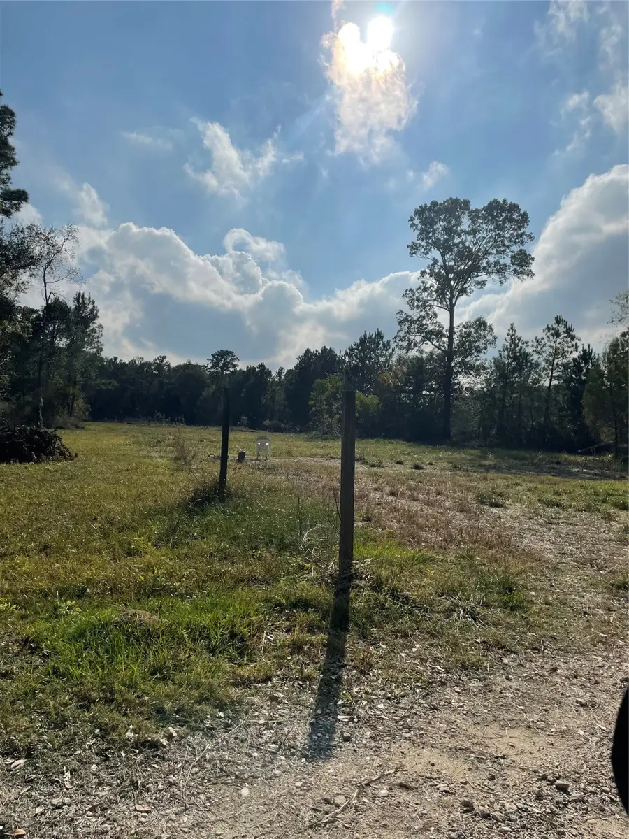 23011 Mary Lane, Porter, TX 77365 - Image #3