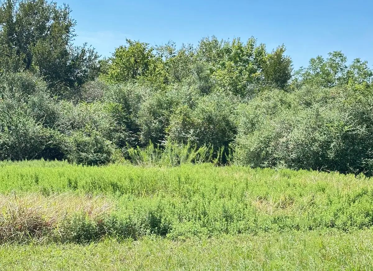 LT 1 24, Rock Island, TX 77470 - Image #1