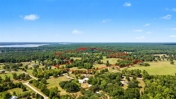13111 Shepard Hill Road, Willis, TX 77318