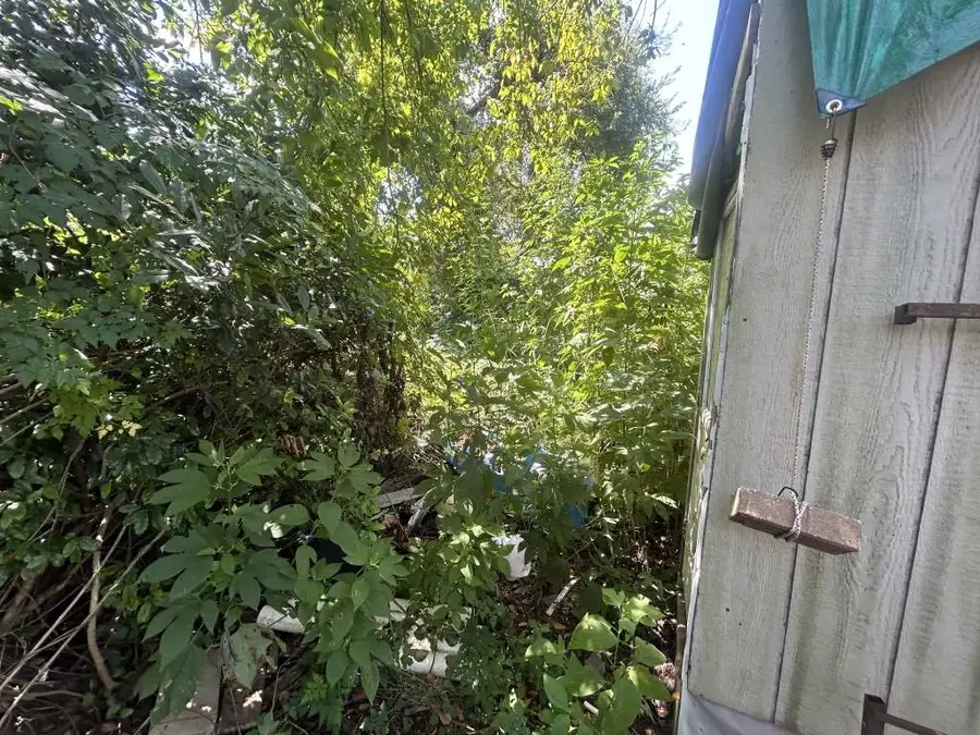 305 W End Street, Terrell, TX 75160 - Image #3