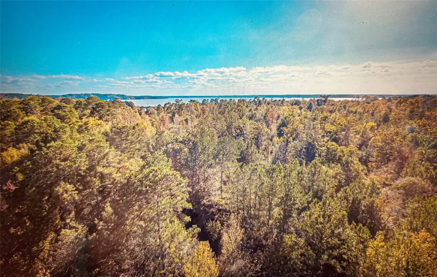 TBD Adventure Trail, Trinity, TX 75862 - #3