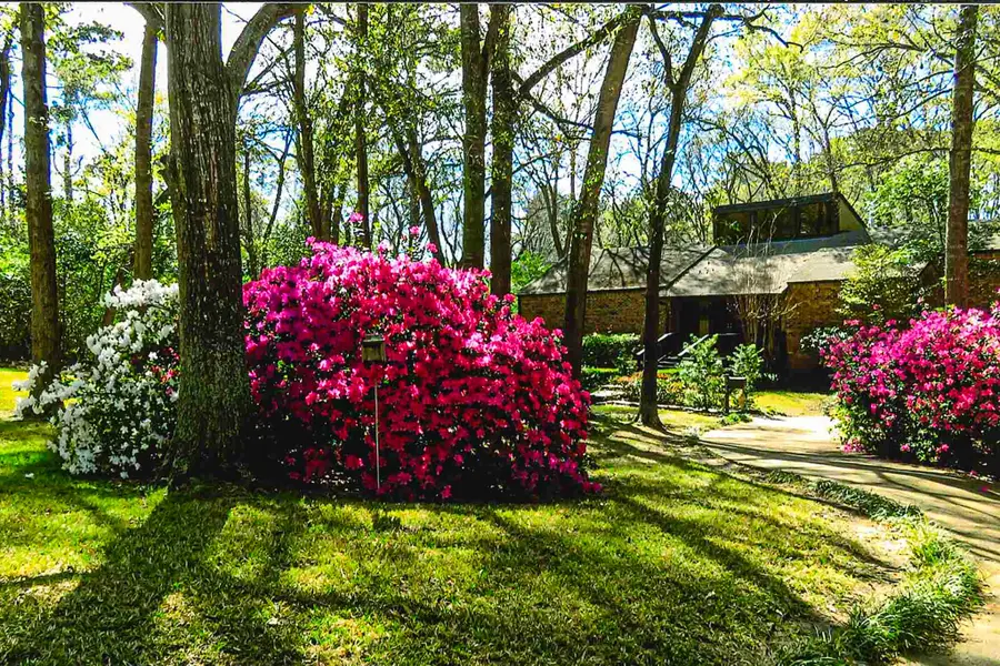 1776 Avenue S, Huntsville, TX 77340 - #3