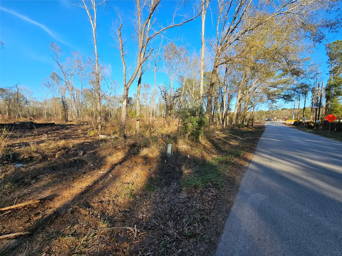 Lot 47 Sherwood Drive, Shepherd, TX 77371 - #1