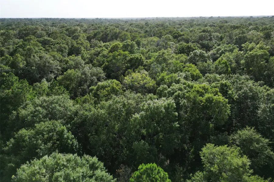 000 N Hwy 326, Kountze, TX 77625 - Image #2