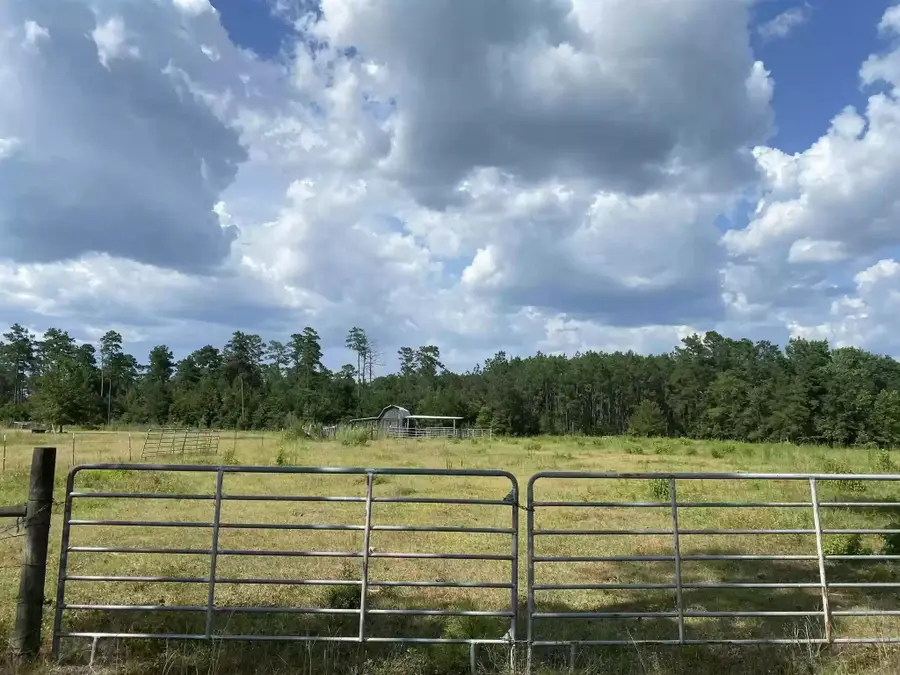 277 County Road 280, Jasper, TX 75951 - Image #3