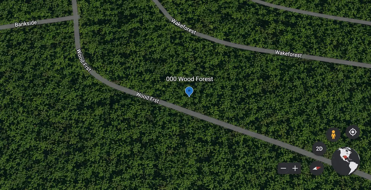 Lots 465 and 466 Wood Forest, Livingston, TX 77351 - #1