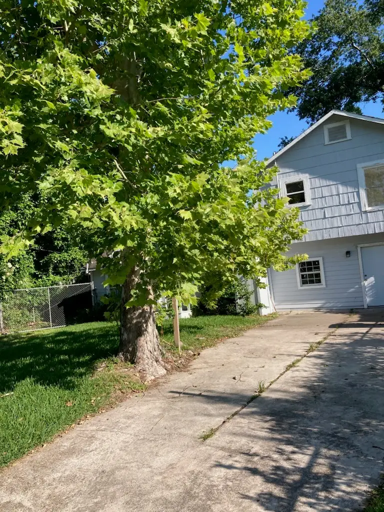1016 Apache Street, Houston, TX 77022 - #2