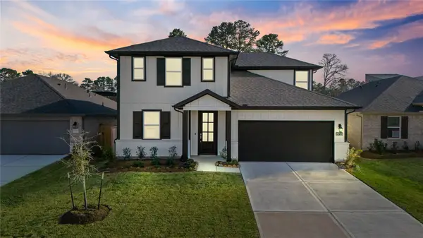 19733 Flag View Drive, Montgomery, TX 77316