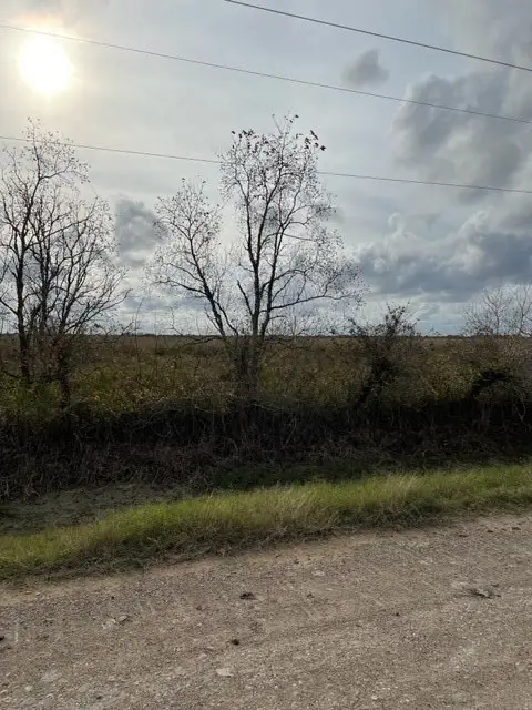 TR 35B Hughes Rd, Guy, TX 77444 - #3