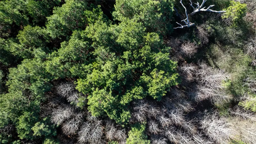 TBD County Road 4112, Henderson, TX 75654 - #3