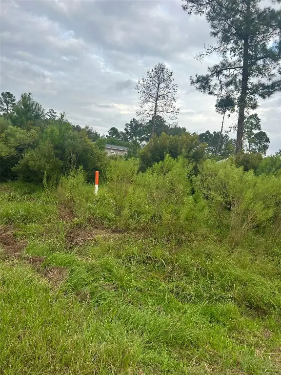 53 Road 5248, Cleveland, TX 77327 - #2