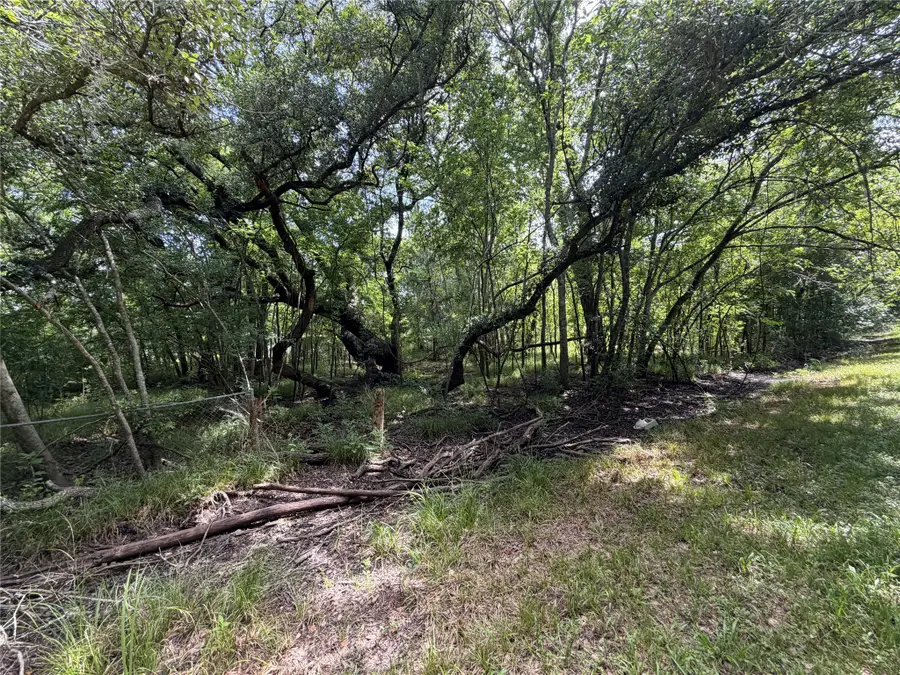 Lot 804 Eskimo Lane, Holiday Lakes, TX 77515 - #3