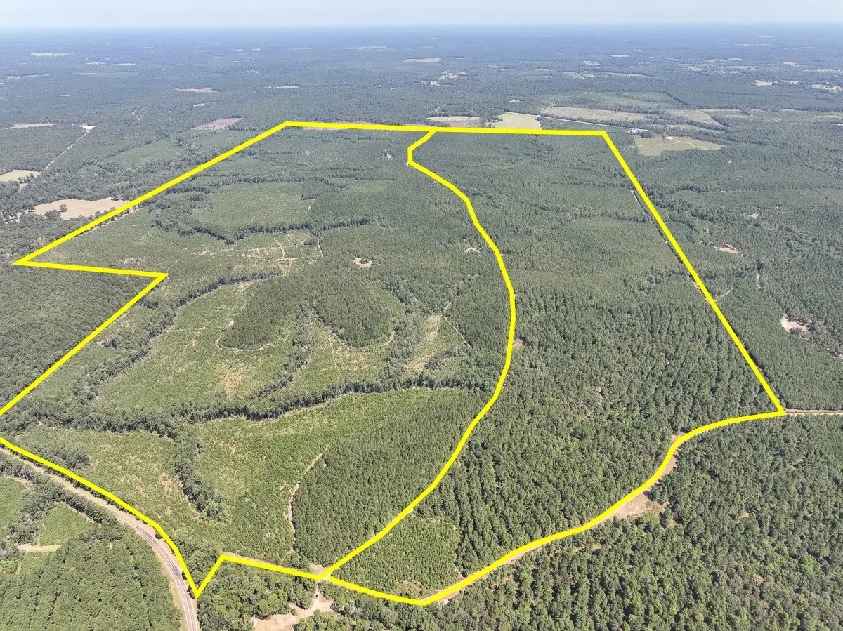 T-2 Cr 2300, Woodville, TX 75979 - #1