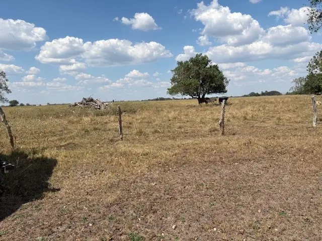 15208-15214 Fm 1489 Road, Rosenberg, TX 77471 - #3