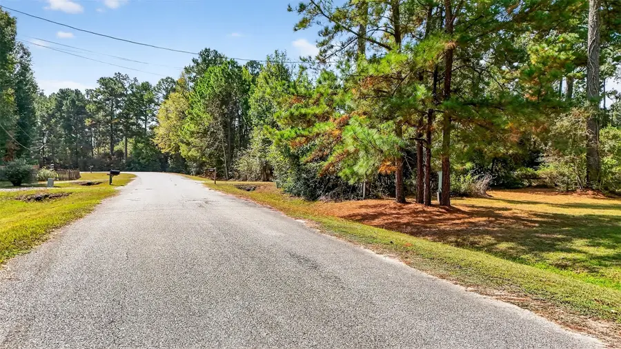 7365 Washington Ave Avenue, Montgomery, TX 77316 - #3