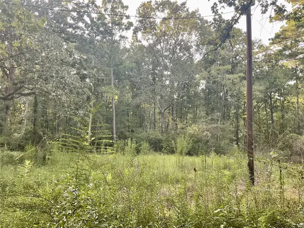 3508 Gilliland Creek Road, Huntington, TX 75949