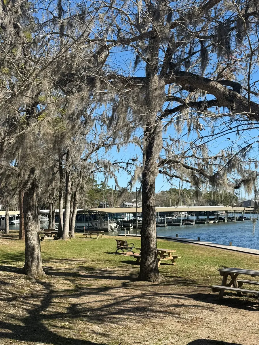 0 Royale Greens Drive, Coldspring, TX 77331 - #3