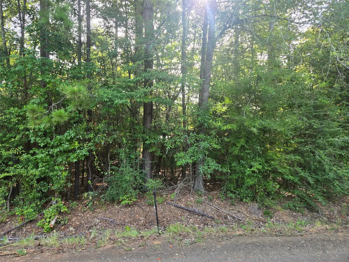 R000104361 Leisure Drive, Hemphill, TX 75948 - #1