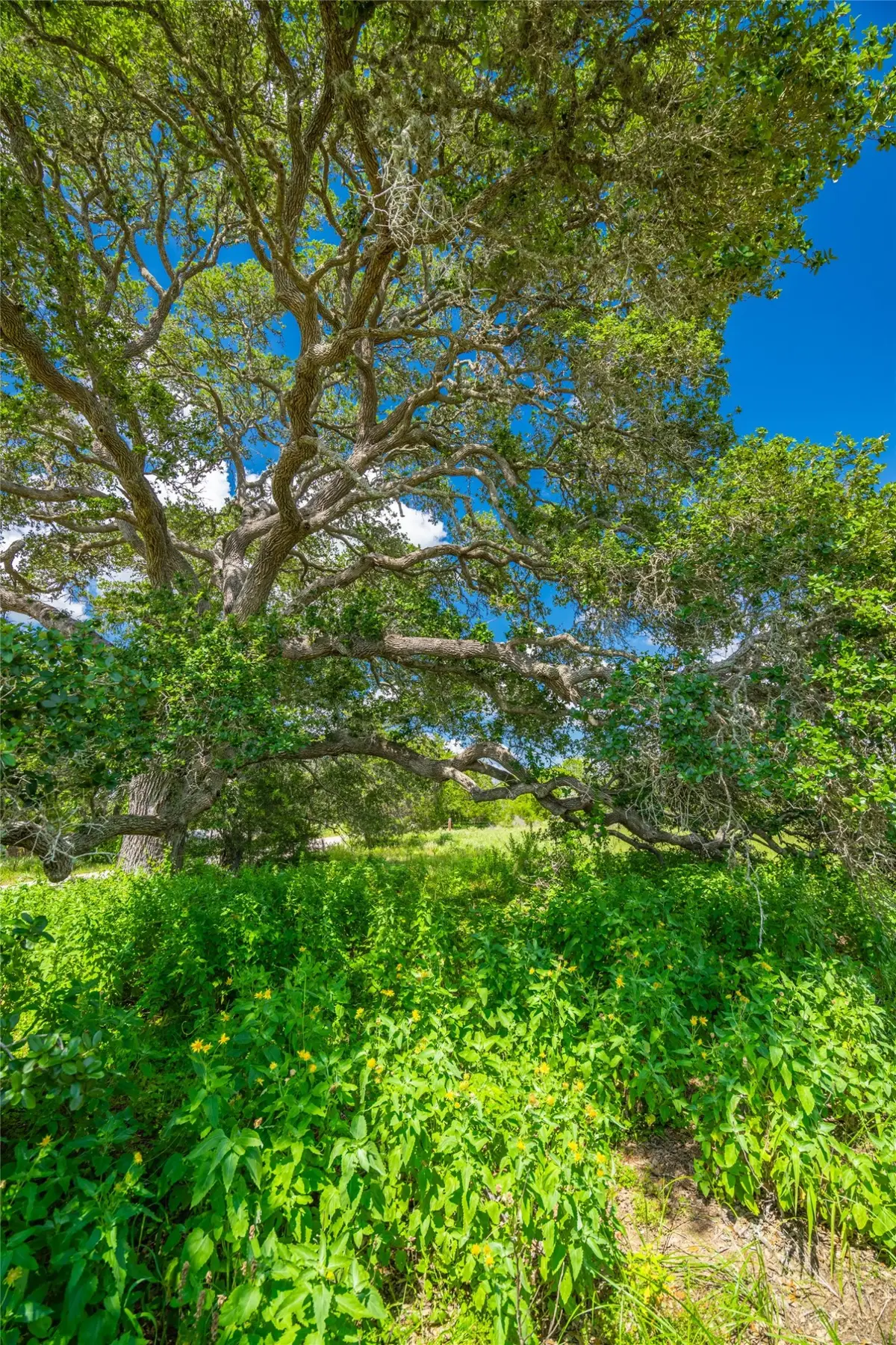 0 County Road 146, Hallettsville, TX 77964 - #1