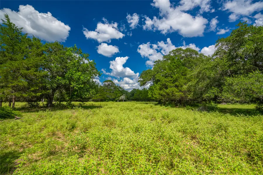 0 County Road 146, Hallettsville, TX 77964 - #3