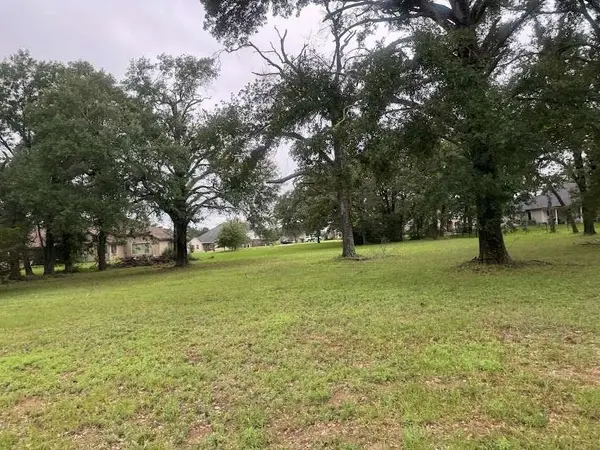 Lot 63 Birdie Drive, Hempstead, TX 77445