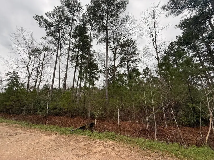 0 Shaffer Road, Cleveland, TX 77327 - #2