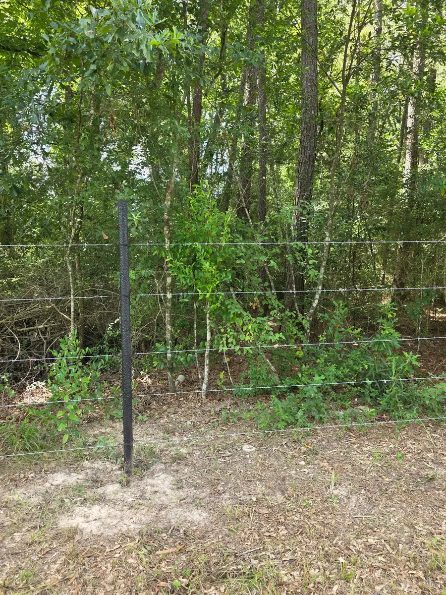 15636 Woodman Road, Conroe, TX 77306 - #3