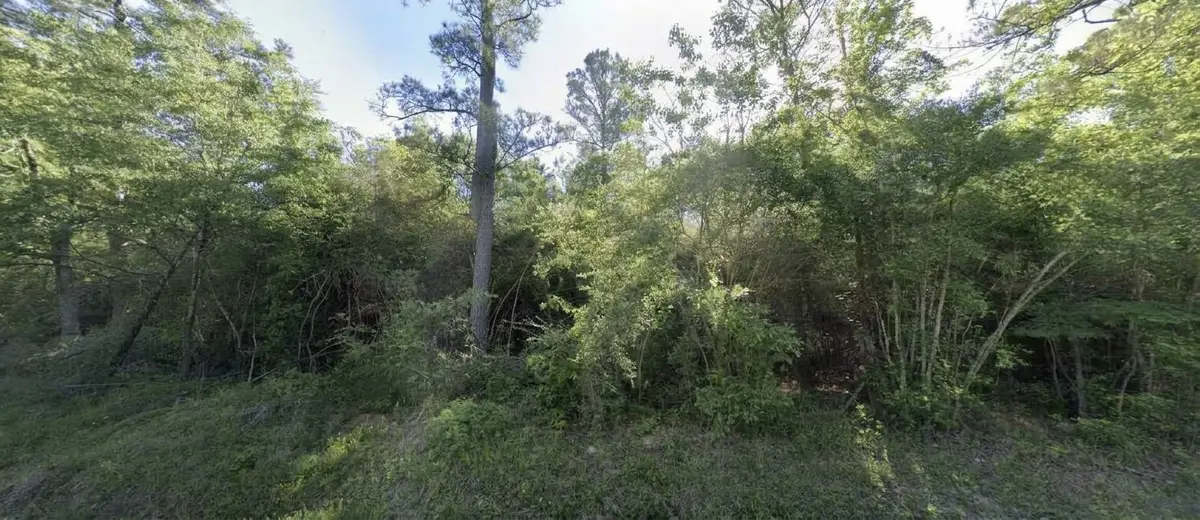 109 County Road 2177, Cleveland, TX 77327 - #1