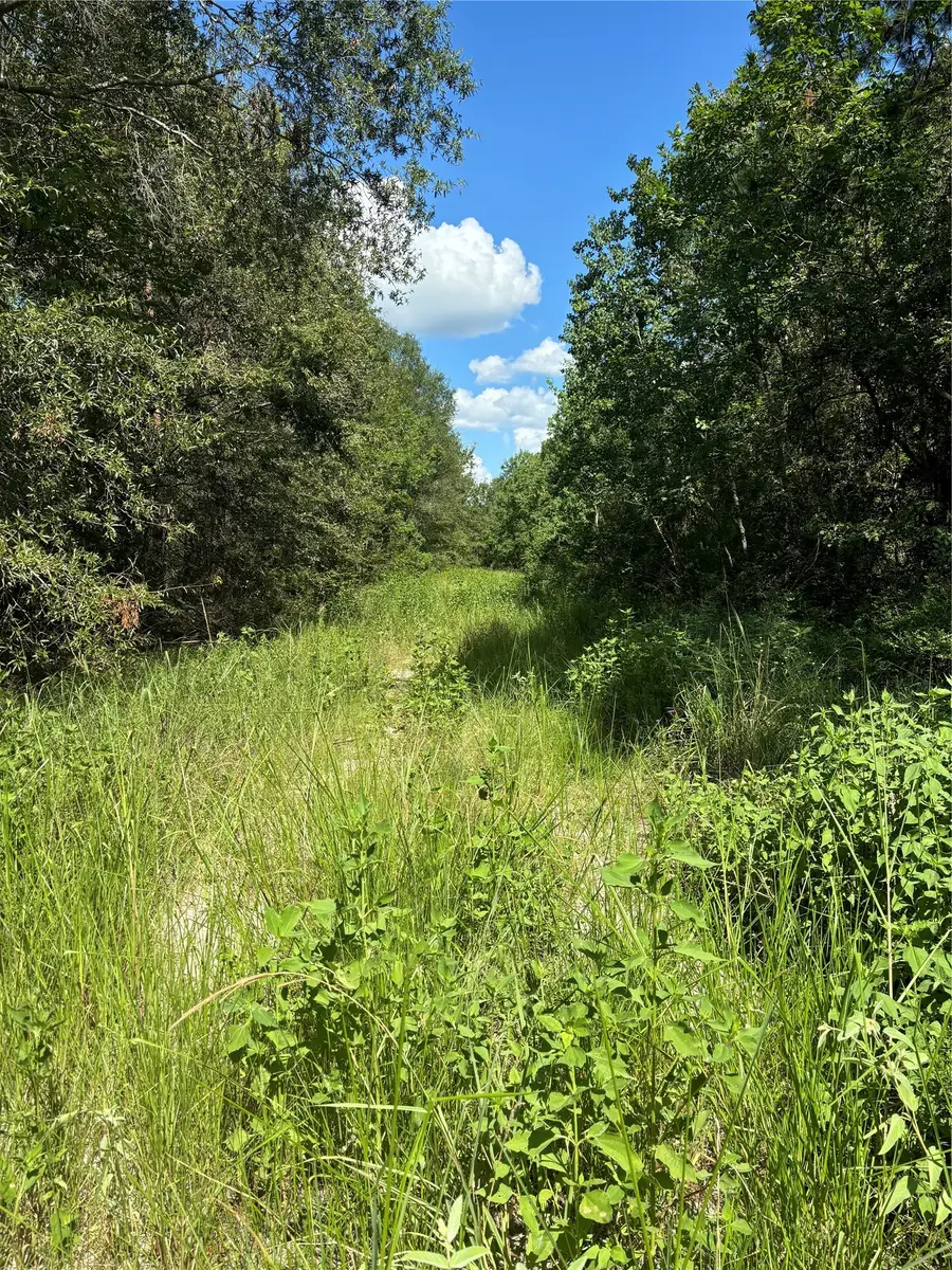 (43208) Wake Forest, Livingston, TX 77351 - #3